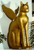 /album/galleria-fotografica/a1998-02-18-20-53-46-jpg/